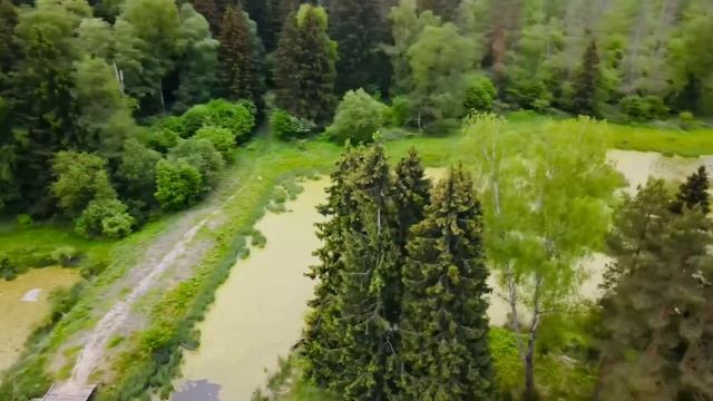 Чайки в Лосином острове смотреть онлайн