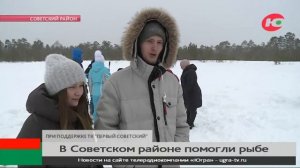 В Советском районе волонтёры «дали рыбе воздуха»