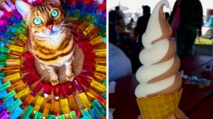 Перфекционизм в мире простых вещей