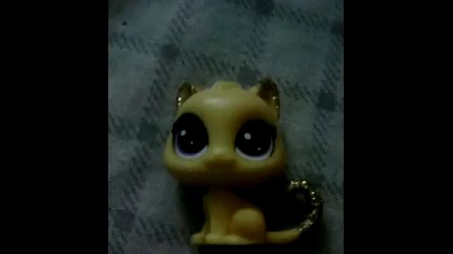 Мои 3 новых пэта 🐍🐍🐻