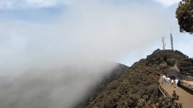 Тенерифе 2017. Поездка через Волшебный лес смотреть онлайн