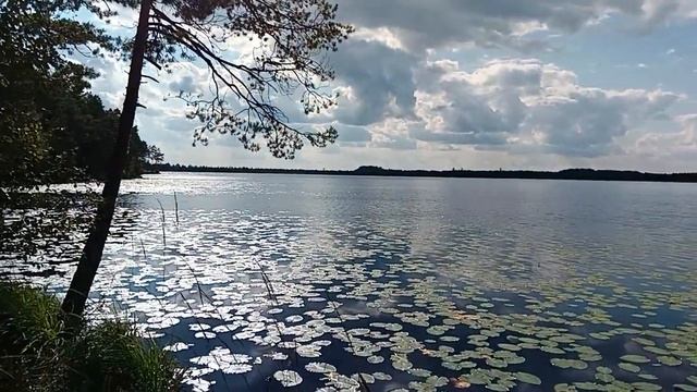 Озеро в Хилово смотреть онлайн