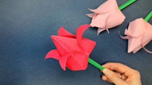 Как сделать тюльпан из бумаги. Оригами Тюльпан из бумаги.