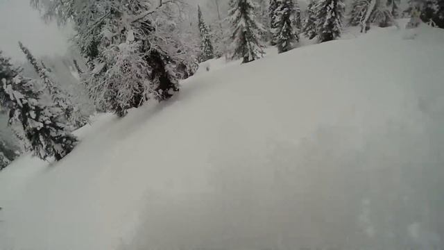 медвежка1 Лужба смотреть онлайн