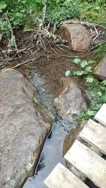 #горы #природа #приключения #леса #река #иремель #отдых #😍