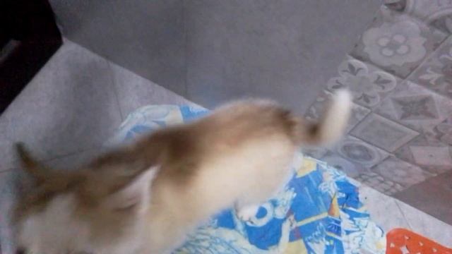 18 февраля 2023 г.