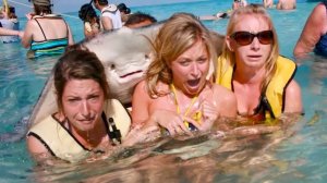 Жизнь кипит там, куда редко смотрят