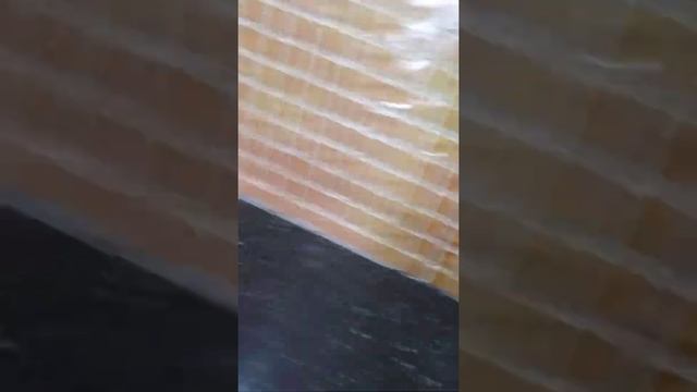 Тіл майданы Жалғасуда Семей қаласы Ш.Қ.О смотреть онлайн