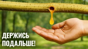 Природные сигналы тревоги_ которые не стоит игнорировать(1080P_HD)