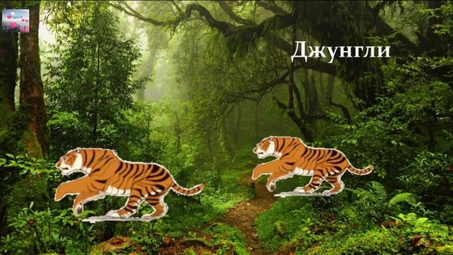 Физминутка 