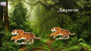 Физминутка "Лётчики- на аэродром!"