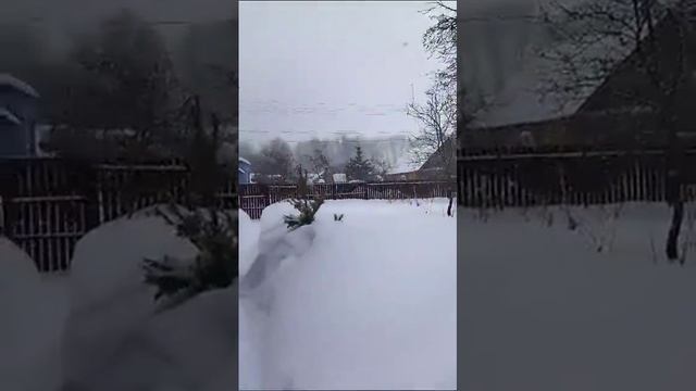 23 февраля 2024 года снежок порадовал Подмосковье смотреть онлайн