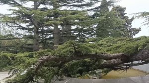 Санаторий Форос, удивительное место в Крыму.