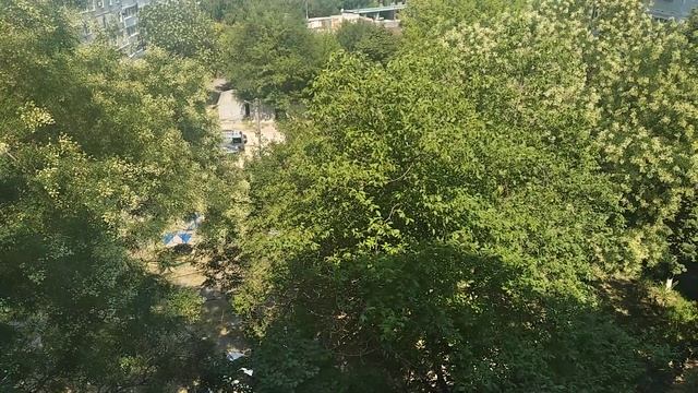 ЗАПОРОЖЬЕ ШТРАФЫ БУДУТ НОВЫЕ ВЕРИТЬ НИКОМУ НЕЛЬЗЯ 15.07.24