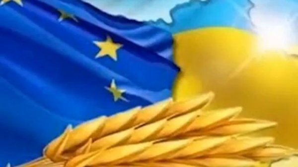 Конец медового месяца? - Дмитрий Спивак