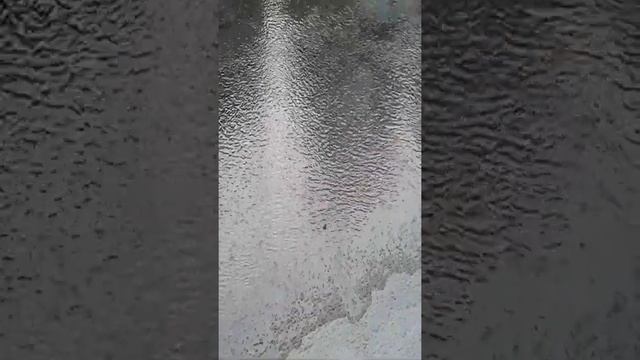 Ольгинка. Набережная речки Ту. Вечерняя какофония лягушек смотреть онлайн