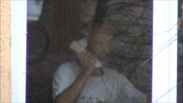 Гнусный провокатор в Воронеже смотреть онлайн