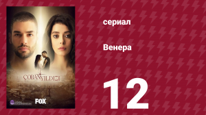 Венера 12 серия (сериал, 2017)