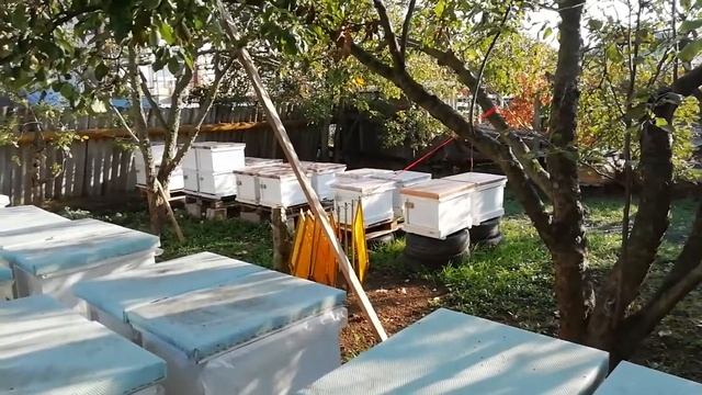 Поставили на магазины