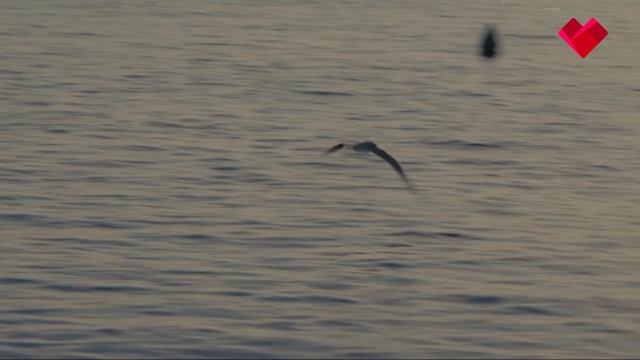 Промо. Канал Про Любовь. Август 2024 смотреть онлайн