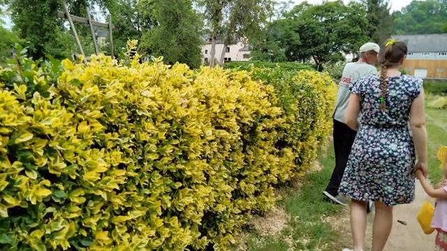 Жизнь в деревне. Жизнь в Германии. Dorf In Deutschland. Leben In Deutschland.