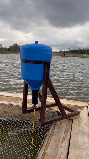 Маятниковая кормушка для кормления рыб российского производства смотреть онлайн