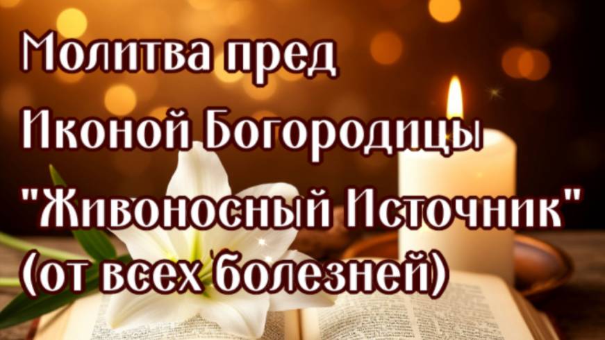 ОТ ГЛАЗНЫХ БОЛЕЗНЕЙ , ОПОРНО-ДВИГАТЕЛЬНОГО АППАРАТА пред Иконой Богородицы "Живоносный Источник" смотреть онлайн