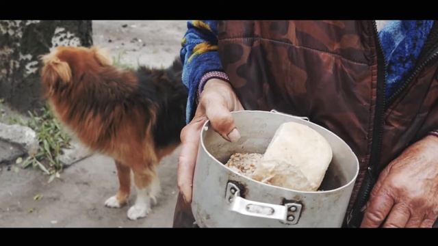"Пища жизни" Донецк (Куйбышевский 22 05 17) смотреть онлайн