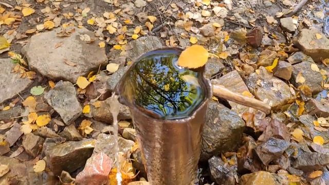 21 сентября 2023 г. смотреть онлайн