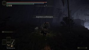 Подробно как попасть в DLS Elden Ring !