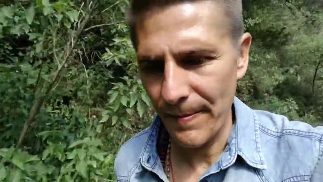 ВИДЕО - 205. ЯТРАХ ДХАРМА ТАТРА ДЖАЙЯ. ДОРОГА В КЕДРНАТХА.