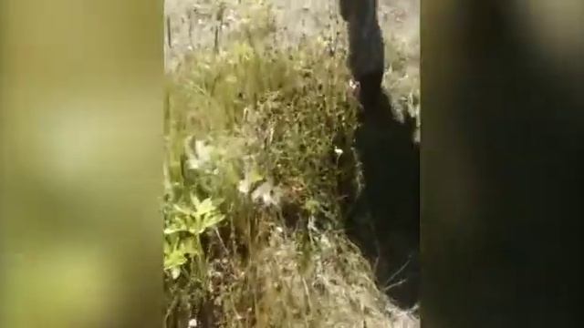 Второй день на турбазе. Офигенная рыбалка смотреть онлайн