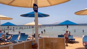 PICKALBATROS PALACE RESORT 5⭐️ | Египет. Шарм-Эль-Шейх.