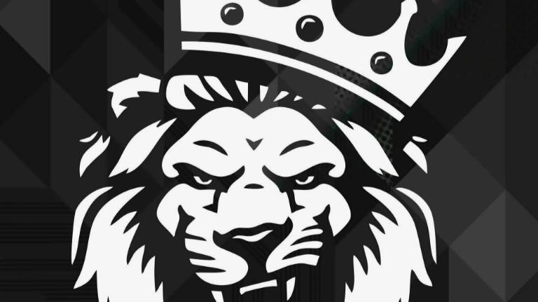 Mailer King софт для рассылки, обучение. смотреть онлайн
