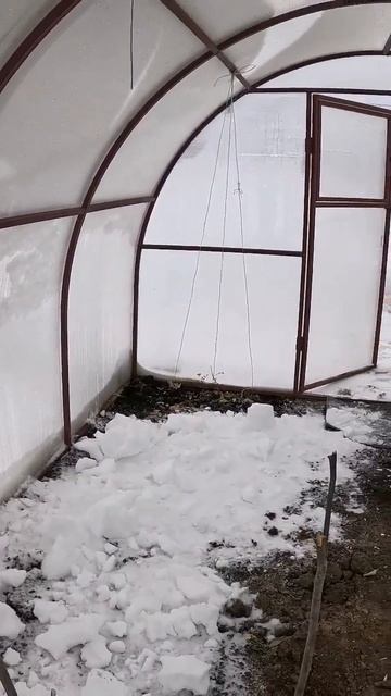 Снег в теплице нужен, что земля напиталась влагой и была мягкой к сезону. кидаем чистый снег! смотреть онлайн