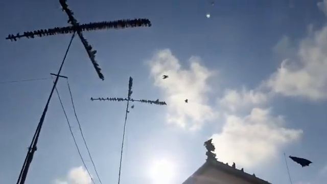 СВГ Арик голуби смотреть онлайн