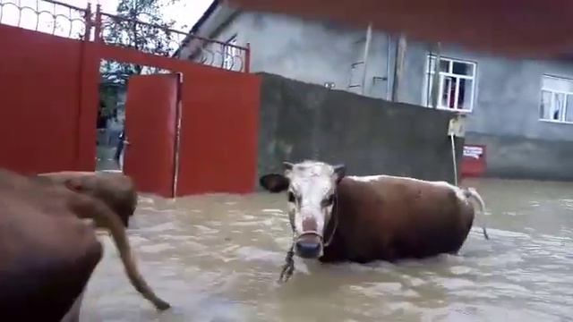 Азербайджан. Село смотреть онлайн