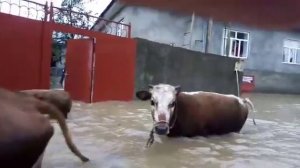 Азербайджан. Село