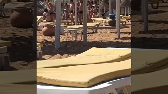 Parrotel aqua park Resort 4* день3 смотреть онлайн