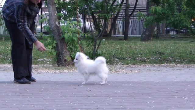 Бэлла. 4 мес смотреть онлайн
