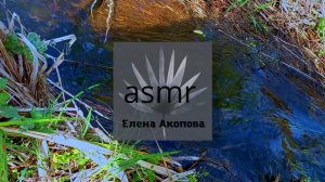 Такие звуки ручья и дождя расслабляют и усыпляют