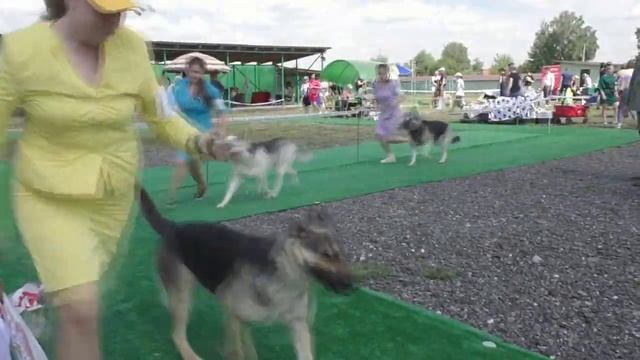 Класс рабочий смотреть онлайн