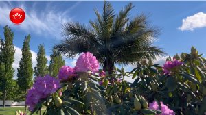 🏝️Парк Галицкого прогулка по парку 2025.