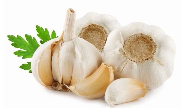 Урок сельскохозяйственного труда "Луковичные овощные культуры" смотреть онлайн