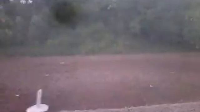 Борщовичі смотреть онлайн