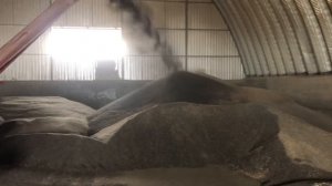 Работа зерномета!!!