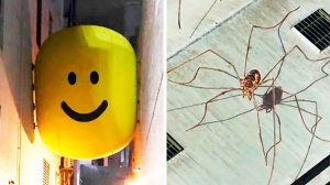 Отсылки из реальной жизни (#46)