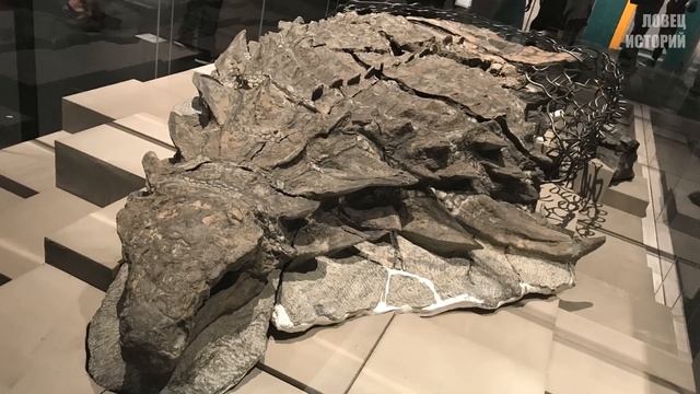 Экскаватор случайно зацепил ковшом за что-то твердое, и таким образом обнаружил сенсационную находк смотреть онлайн