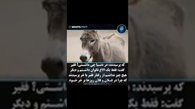 Азоби кабр дар як шаб 😈😡😱😱 смотреть онлайн