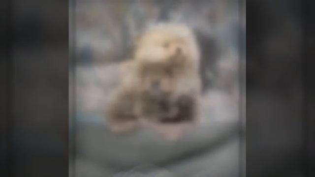 18 марта 2021 г.